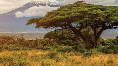 Kenya & Tanzania: The Safari Experience — 12 days (Nairobi to Arusha)
