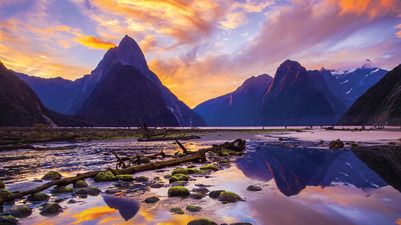 New Zealand North Island Discovery — 8 days (Auckland to Wellington)