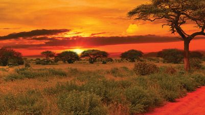 Tanzania: Serengeti & Ngorongoro — 8 days (Round‑trip Arusha)